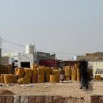 المهرة بين المستنقع والنور