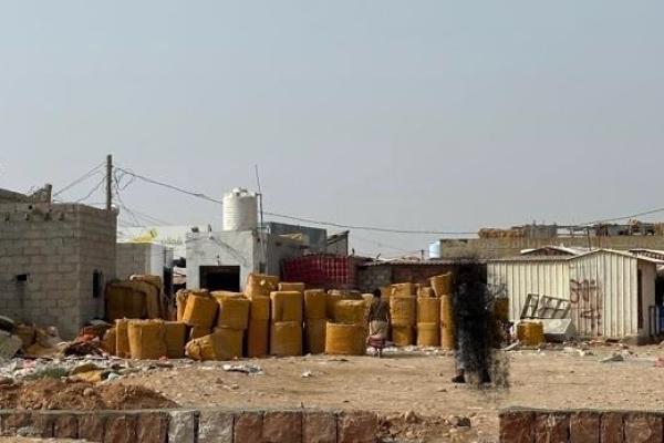المهرة بين المستنقع والنور