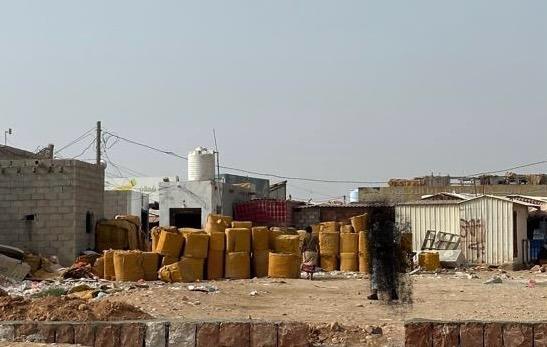 المهرة بين المستنقع والنور